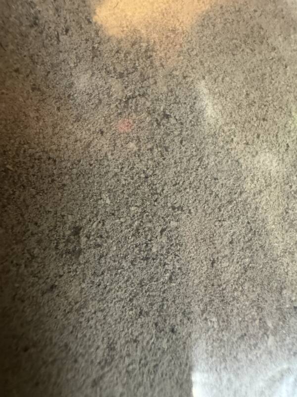 5lbs BENTONITE CLAY 
FINE GRANULAR - Image 2